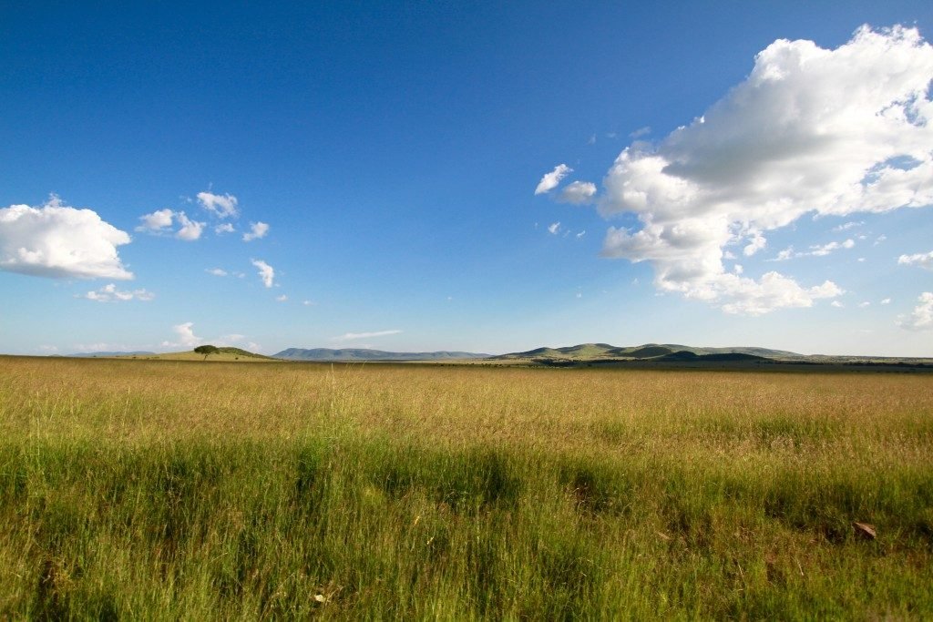 itinerario-safari-kenya-masai-mara