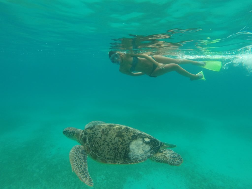 Isole Perenthian Turtle Point