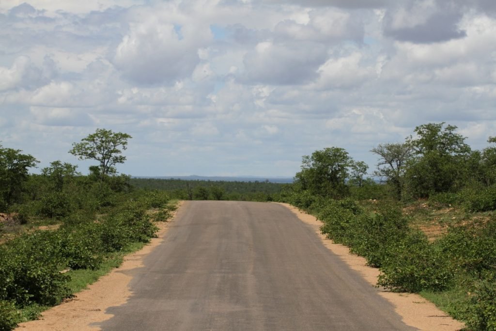 safari-al-parco-kruger-sudafrica-consigli-utili-strada