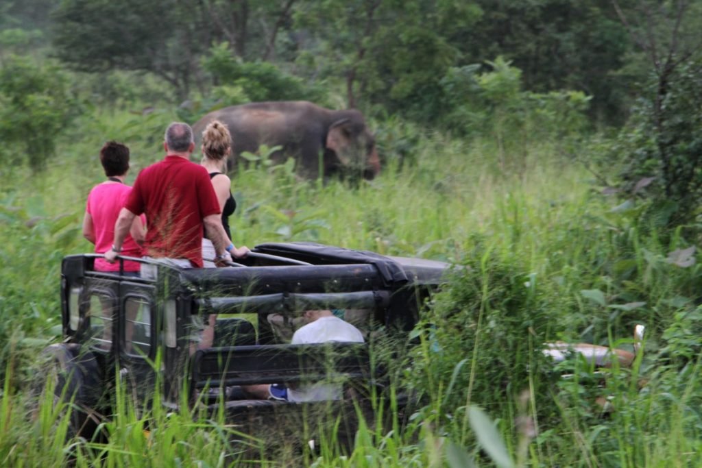 cosa-vedere-in-sri-lanka-itinerario-di-viaggio-kaudulla-safari