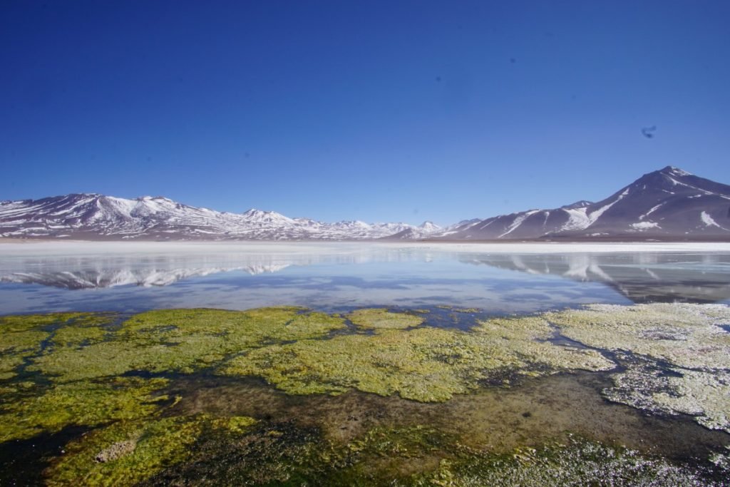 viaggio-in-bolivia-cosa-vedere-in-10-giorni-laguna-blanca