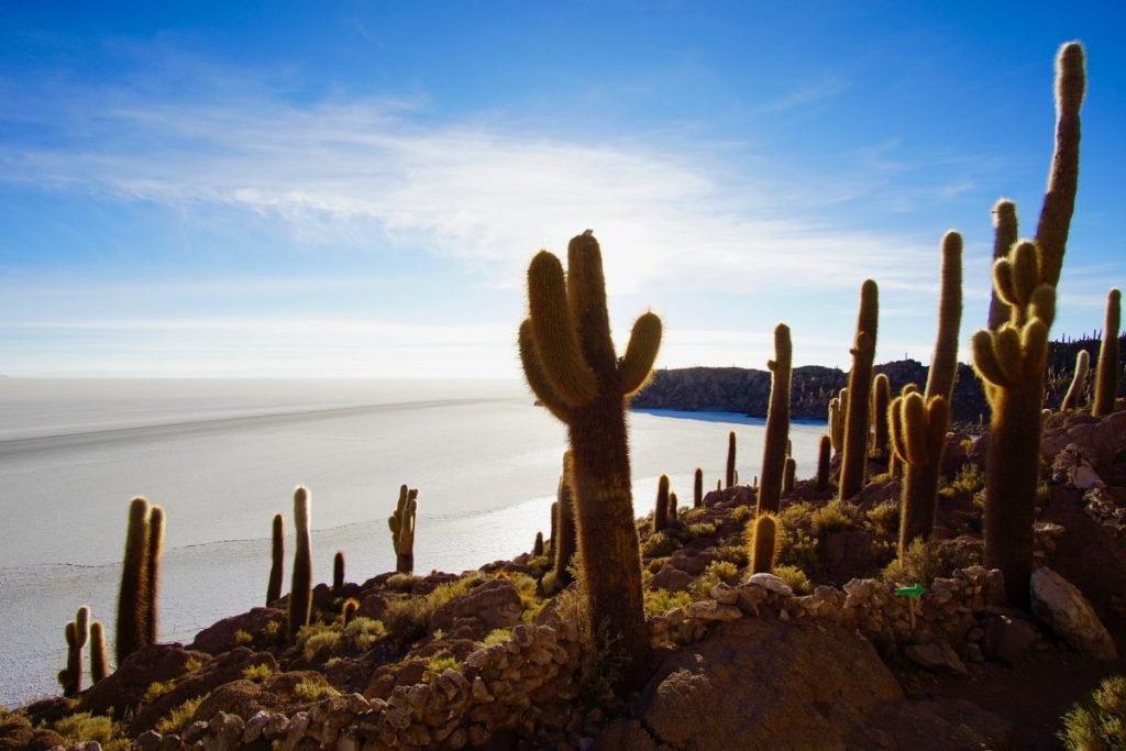 viaggio-in-bolivia-cosa-vedere-in-10-giorni-salar-uyuni-incahuasi