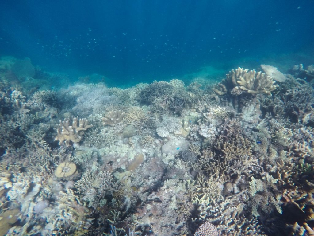 viaggio-filippine-itinerario-consigli-snorkeling-coron