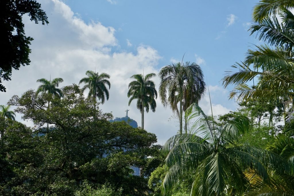 cosa-fare-e-vedere-a-rio-de-janeiro-jardin-botanico