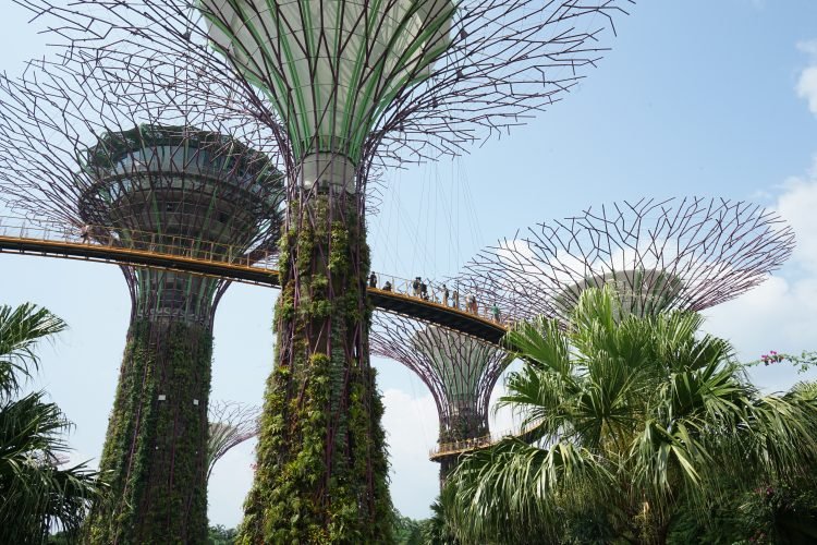 cosa-vedere-e-fare-a-singapore-la-citta-del-futuro-gardens-by-the-bay